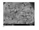 Fig. 04 - CALCIUM SULPHATE BASED COMPOSITE