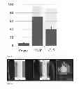 Fig. 10 - CALCIUM SULPHATE BASED COMPOSITE