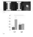 Fig. 11 - CALCIUM SULPHATE BASED COMPOSITE