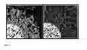 Fig. 12 - CALCIUM SULPHATE BASED COMPOSITE