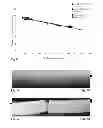 Fig. 07 - Gelatin sponge comprising an active ingredient, its preparation and use