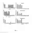 Fig. 08 - COMPOSITIONS AND METHODS FOR EXOSOME TARGETED EXPRESSION