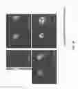Fig. 06 - TARGETED LIPOSOMES