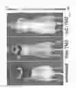 Fig. 10 - TARGETED LIPOSOMES