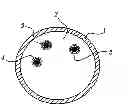 Fig. 01 - VECTOR FOR ORAL ADMINISTRATION