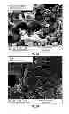Fig. 03 - CORTICOSTEROID PARTICLES AND METHOD OF PRODUCTION