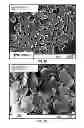 Fig. 05 - CORTICOSTEROID PARTICLES AND METHOD OF PRODUCTION