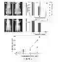 Fig. 06 - MULTIFUNCTIONAL CHEMO- AND MECHANICAL THERAPEUTICS