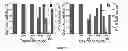 Fig. 09 - MULTIFUNCTIONAL CHEMO- AND MECHANICAL THERAPEUTICS