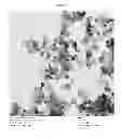 Fig. 06 - METASTABLE SILVER NANOPARTICLE COMPOSITES