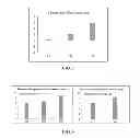 Fig. 04 - Device and method for encapsulation of hydrophilic materials