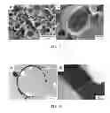 Fig. 05 - Device and method for encapsulation of hydrophilic materials