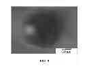 Fig. 06 - Device and method for encapsulation of hydrophilic materials