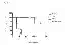 Fig. 23 - Method for the treatment of cancer