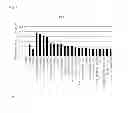 Fig. 02 - Composition for accelerating change in muscle type