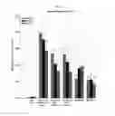 Fig. 02 - Composition for preventing and/or alleviating hangover comprising extracts of sophora flavescens