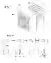 Fig. 02 - Three Dimensional Contour Shaping Apparatus