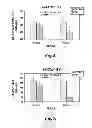Fig. 06 - Dietary supplement and methods of use