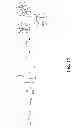 Fig. 08 - SYNTHESIS AND PROCESSING OF NEW SILSESQUIOXANE/SILOXANE SYSTEMS