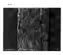 Fig. 01 - Fluoropolymer articles having a high surface roughness and high coarseness