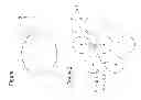 Fig. 02 - Composite fiber