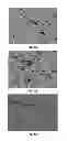 Fig. 06 - Plating Process to Increase Coin Blank Surface Hardness