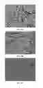 Fig. 08 - Plating Process to Increase Coin Blank Surface Hardness
