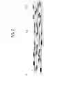 Fig. 08 - Gas diffusion layer for fuel cell and method for manufacturing the same