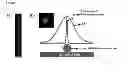 Fig. 10 - Nanofluidic devices for single-molecule analysis of protein-DNA complex