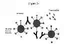 Fig. 32 - NMR systems and methods for the rapid detection of analytes