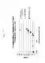 Fig. 35 - NMR systems and methods for the rapid detection of analytes