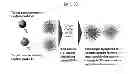 Fig. 43 - NMR systems and methods for the rapid detection of analytes