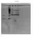 Fig. 69 - NMR systems and methods for the rapid detection of analytes