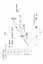 Fig. 10 - Methods and biomarker for evaluating cancer metastasis, pharmaceutical composition for inhibiting cancer metastasis, and method for analyzing secretome