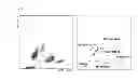 Fig. 02 - METHOD FOR CLASSIFYING/COUNTING LEUKOCYTES, REAGENT KIT FOR CLASSIFYING LEUKOCYTES, AND REAGENT FOR CLASSIFYING LEUKOCYTES