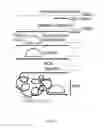 Fig. 02 - Methods for identifying nucleic acid sequences