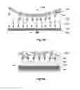 Fig. 07 - Collection and concentration system for biologic substance of interest and use thereof