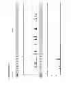 Fig. 07 - Method for direct amplification from crude nucleic acid samples