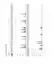 Fig. 12 - Method for direct amplification from crude nucleic acid samples