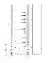 Fig. 14 - Method for direct amplification from crude nucleic acid samples