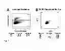 Fig. 08 - Somatic cells with innate potential for pluripotency