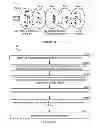 Fig. 03 - METHOD AND MATERIALS FOR ISOLATION OF NUCLEIC ACID MATERIALS
