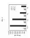 Fig. 06 - Anti CEACAM1 antibodies and methods of using same