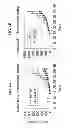 Fig. 07 - Anti CEACAM1 antibodies and methods of using same