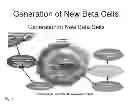 Fig. 02 - GENERATION OF NEW PANCREATIC BETA CELLS