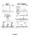 Fig. 05 - Neutron encoded mass tags for analyte quantification