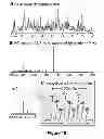 Fig. 19 - Neutron encoded mass tags for analyte quantification