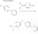 Fig. 306 - Compounds and method of identifying, synthesizing, optimizing and profiling protein modulators