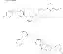 Fig. 331 - Compounds and method of identifying, synthesizing, optimizing and profiling protein modulators