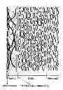 Fig. 01 - SYSTEM AND METHODOLOGY FOR ANALYZING LOW-DENSITY LIPOPROTEIN TRANSPORT WITHIN A MULTI-LAYERED ARTERIAL WALL
